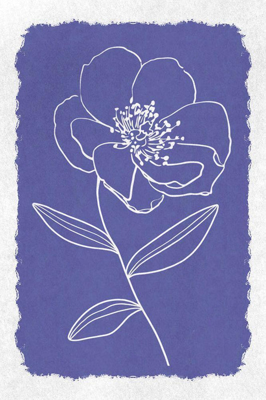 Image Only