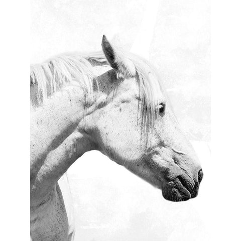 Praying Steed 2 White Modern Wood Framed Art Print by Prime, Marcus