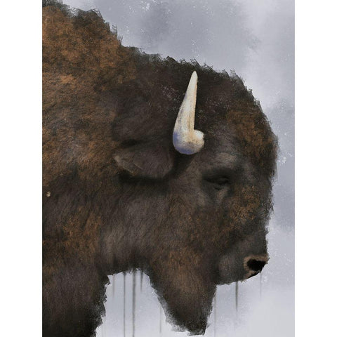Dripping Bison Black Modern Wood Framed Art Print with Double Matting by Prime, Marcus