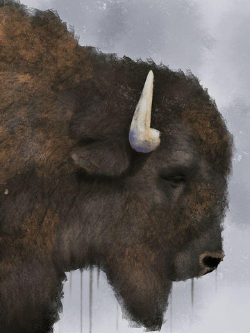 Dripping Bison White Modern Wood Framed Art Print with Double Matting by Prime, Marcus