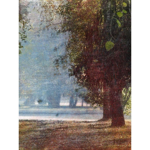 Fall Stroll 1 Black Modern Wood Framed Art Print by Prime, Marcus