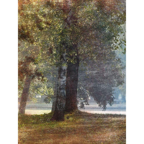 Fall Stroll 2 Gold Ornate Wood Framed Art Print with Double Matting by Prime, Marcus