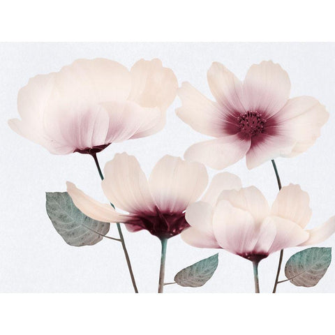 Blooming Youth 2 White Modern Wood Framed Art Print by Prime, Marcus