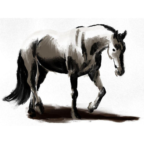 Artistic Horse White Modern Wood Framed Art Print by Prime, Marcus
