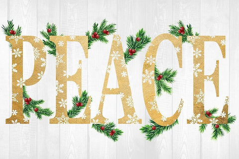 Seasonal Peace White Modern Wood Framed Art Print with Double Matting by Prime, Marcus