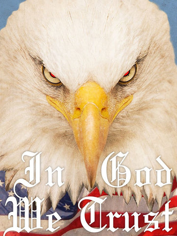 Trusted Eagle Black Ornate Wood Framed Art Print with Double Matting by Prime, Marcus