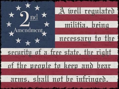 2nd Amendment Black Modern Wood Framed Art Print by Prime, Marcus