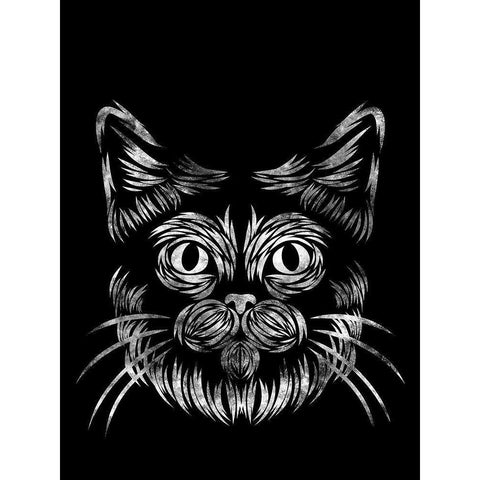 Cat In The Night Black Modern Wood Framed Art Print with Double Matting by Prime, Marcus