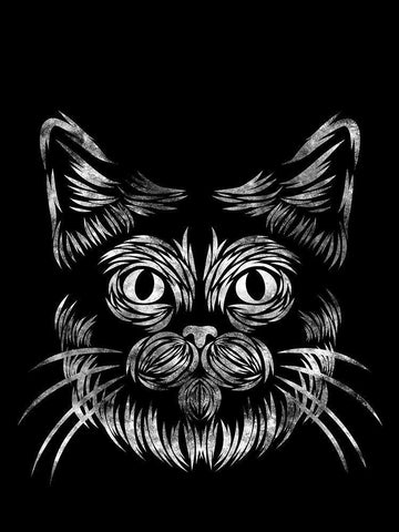 Cat In The Night Black Ornate Wood Framed Art Print with Double Matting by Prime, Marcus