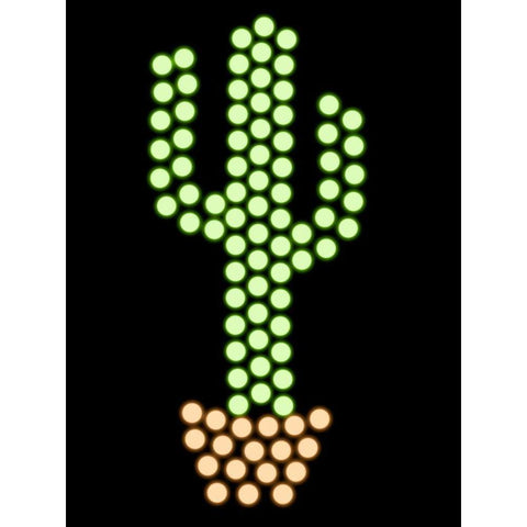 Cactus Glow Black Modern Wood Framed Art Print with Double Matting by Prime, Marcus