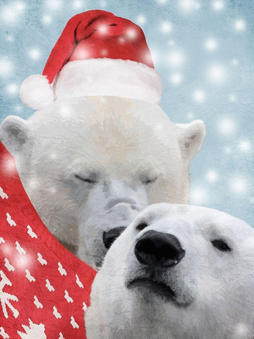 Snowy Kisses White Modern Wood Framed Art Print with Double Matting by Prime, Marcus