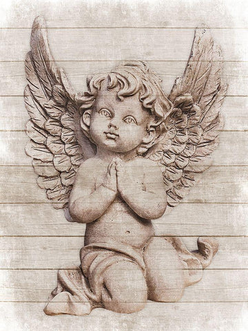 Angelic Nature Black Ornate Wood Framed Art Print with Double Matting by Prime, Marcus