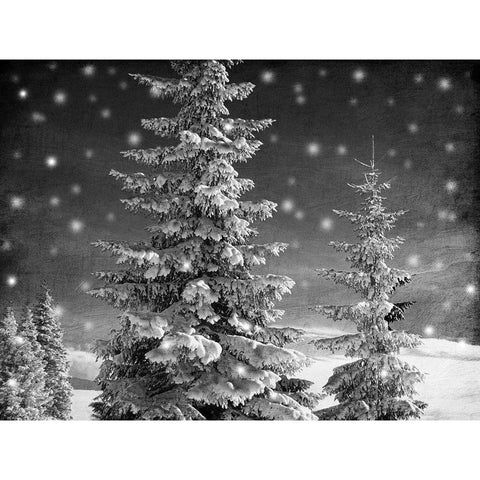 Snowy Night Black Modern Wood Framed Art Print with Double Matting by Prime, Marcus