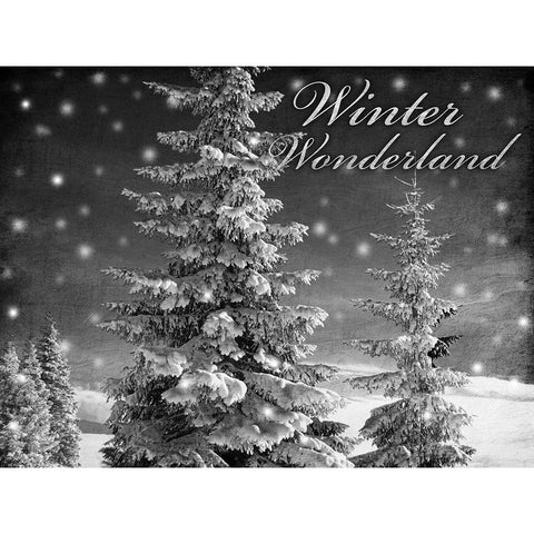 Winter Wonderland 1 White Modern Wood Framed Art Print by Prime, Marcus