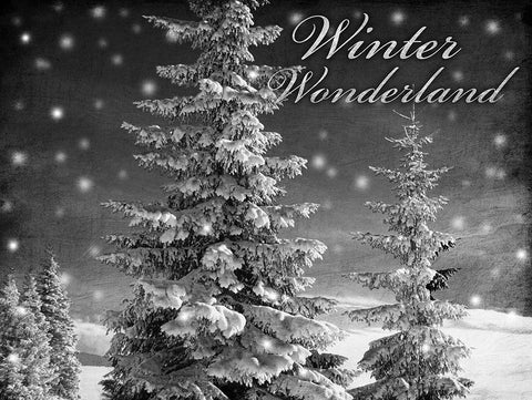 Winter Wonderland 1 White Modern Wood Framed Art Print with Double Matting by Prime, Marcus