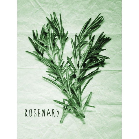 Rosemary Paper Scraps Black Modern Wood Framed Art Print with Double Matting by Prime, Marcus