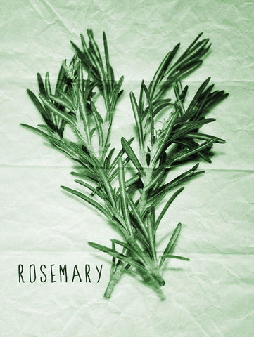 Rosemary Paper Scraps White Modern Wood Framed Art Print with Double Matting by Prime, Marcus