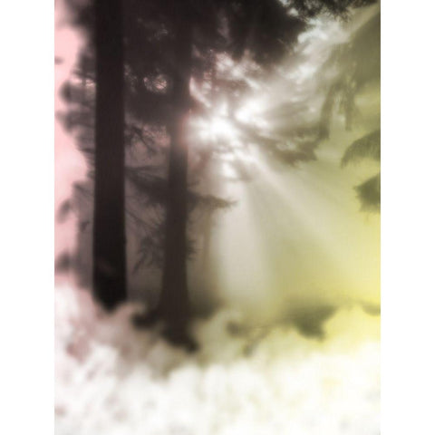 Sunset Haze 2 Black Modern Wood Framed Art Print with Double Matting by Prime, Marcus