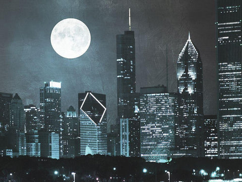 Moonlit Chicago 2 Black Ornate Wood Framed Art Print with Double Matting by Prime, Marcus