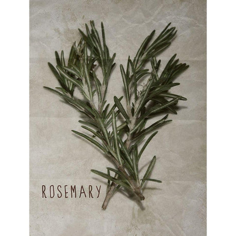 Time-Honored Rosemary 2 Black Modern Wood Framed Art Print with Double Matting by Prime, Marcus