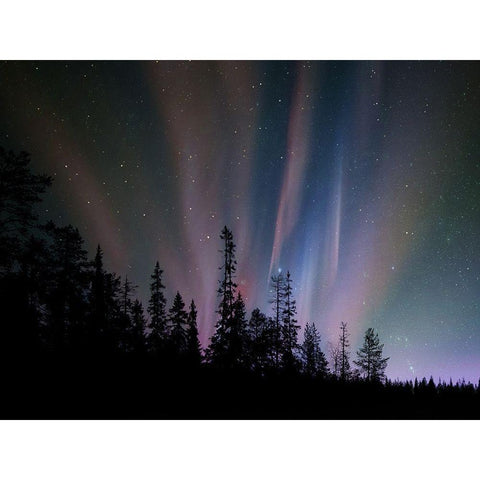 Borealis Dreams 4 Black Modern Wood Framed Art Print by Prime, Marcus
