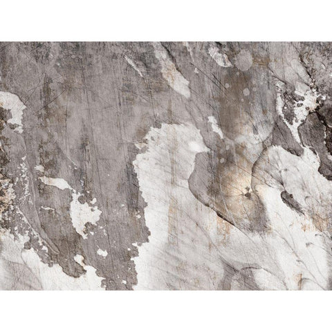 Desert Tapestry 1 Black Modern Wood Framed Art Print by Prime, Marcus