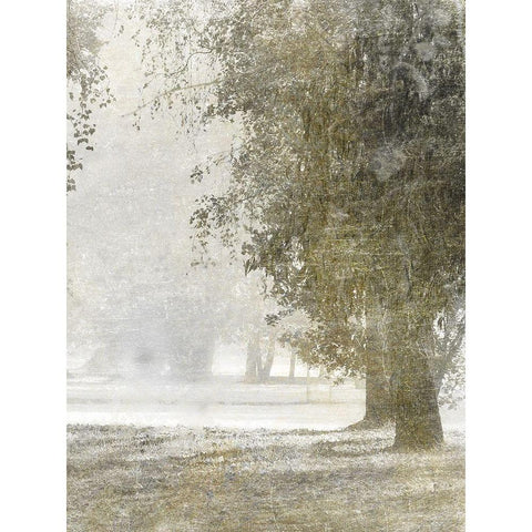 Autumn Dream 1 Black Modern Wood Framed Art Print by Prime, Marcus