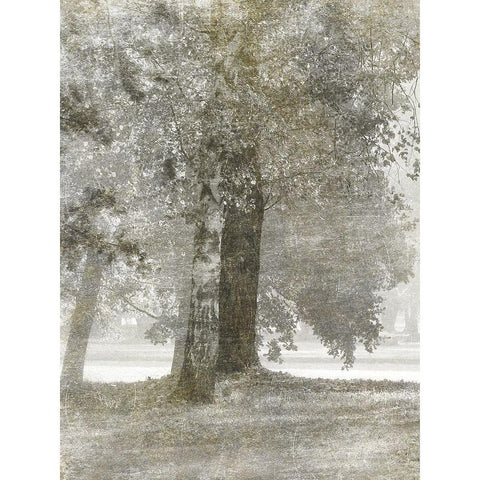 Autumn Dream 2 Black Modern Wood Framed Art Print by Prime, Marcus