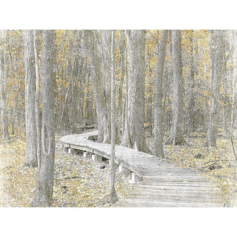 Autumn Stroll Black Modern Wood Framed Art Print with Double Matting by Prime, Marcus