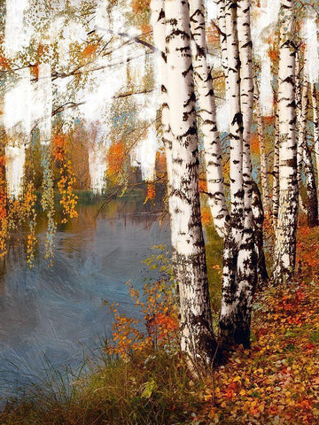 Birch Dream White Modern Wood Framed Art Print with Double Matting by Prime, Marcus