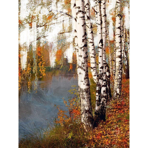 Birch Dream Black Modern Wood Framed Art Print by Prime, Marcus