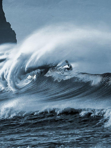 Blooming Surf 2 Black Ornate Wood Framed Art Print with Double Matting by Prime, Marcus
