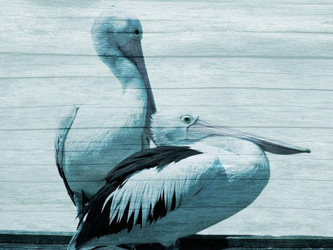 Aerial Love Black Ornate Wood Framed Art Print with Double Matting by Prime, Marcus