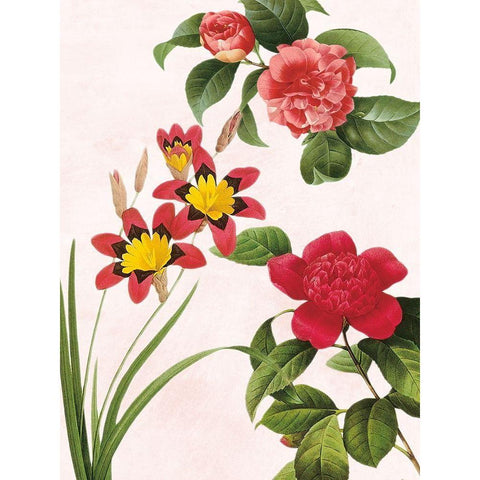 Botanical Fusion White Modern Wood Framed Art Print by Prime, Marcus