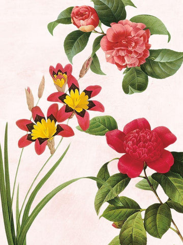 Botanical Fusion White Modern Wood Framed Art Print with Double Matting by Prime, Marcus