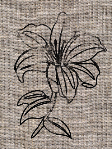 Linen Beauty 2 Black Ornate Wood Framed Art Print with Double Matting by Prime, Marcus