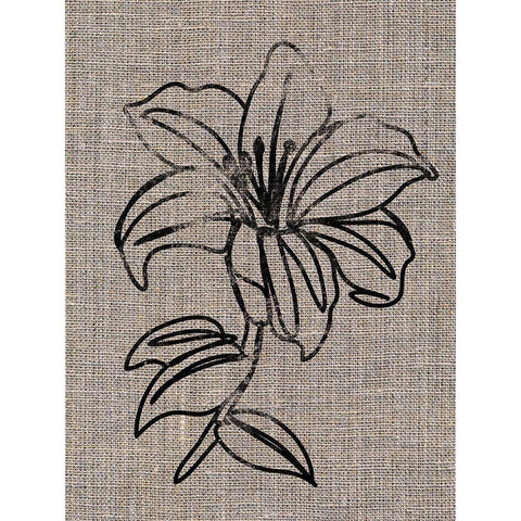 Linen Beauty 2 Black Modern Wood Framed Art Print by Prime, Marcus