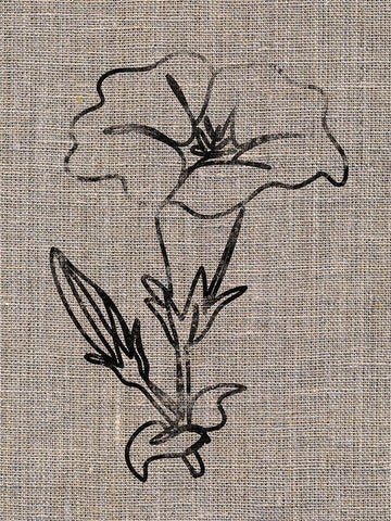 Linen Beauty White Modern Wood Framed Art Print with Double Matting by Prime, Marcus