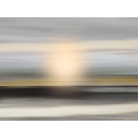 Overlooked Oasis 2 White Modern Wood Framed Art Print by Prime, Marcus