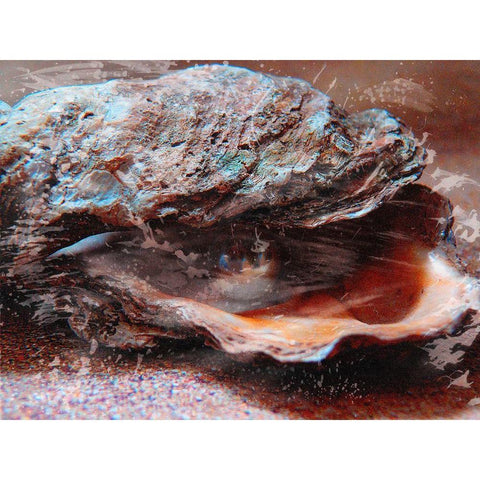 Shiny Oyster 2 Black Modern Wood Framed Art Print by Prime, Marcus