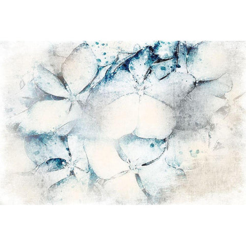 Piercing Beauty 1 Black Modern Wood Framed Art Print with Double Matting by Prime, Marcus