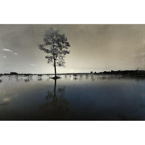 Indulged Sunset 1 Gold Ornate Wood Framed Art Print with Double Matting by Prime, Marcus