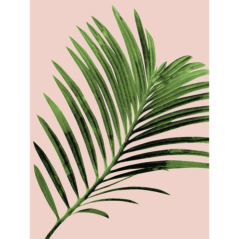 Dawning Desires 2 Black Modern Wood Framed Art Print by Prime, Marcus