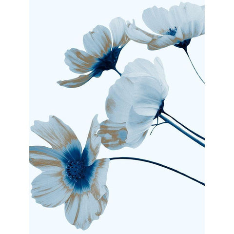Metallic Shine 1 White Modern Wood Framed Art Print by Prime, Marcus