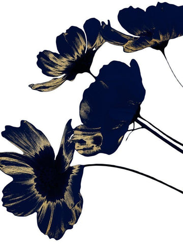 Indigo Shine 1 Black Ornate Wood Framed Art Print with Double Matting by Prime, Marcus