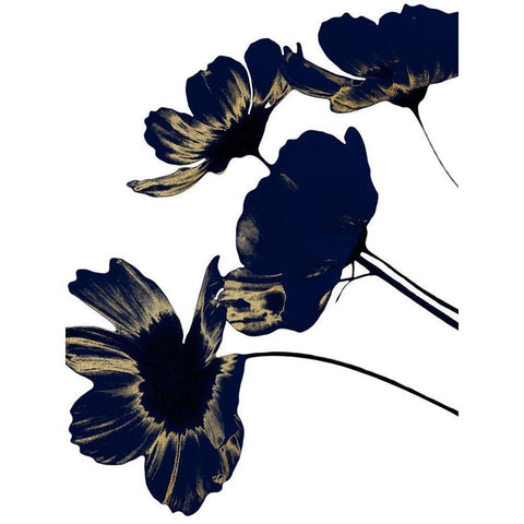 Indigo Shine 1 Black Modern Wood Framed Art Print by Prime, Marcus