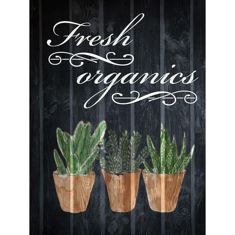 Fresh Organics 1 Black Modern Wood Framed Art Print with Double Matting by Prime, Marcus