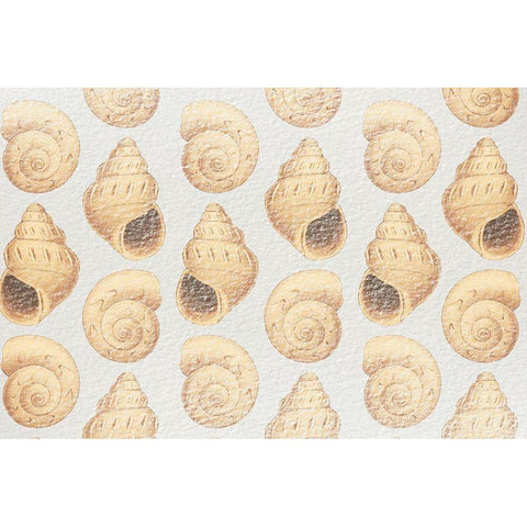 Flowing Shells 1 Black Modern Wood Framed Art Print by Prime, Marcus
