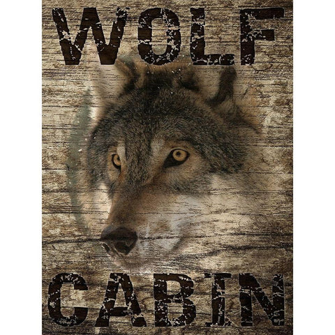 Wolf Cabin 1 Black Modern Wood Framed Art Print with Double Matting by Prime, Marcus