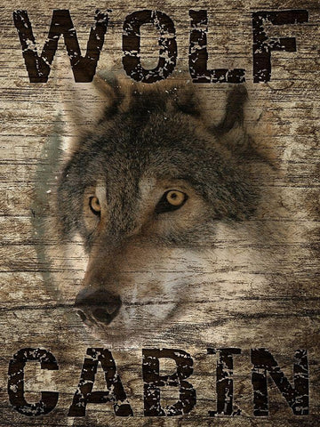 Wolf Cabin 1 Black Ornate Wood Framed Art Print with Double Matting by Prime, Marcus